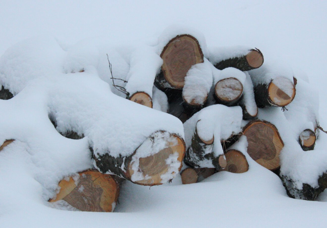 Feuerholz im Schnee - Jan-Eike Hornauer